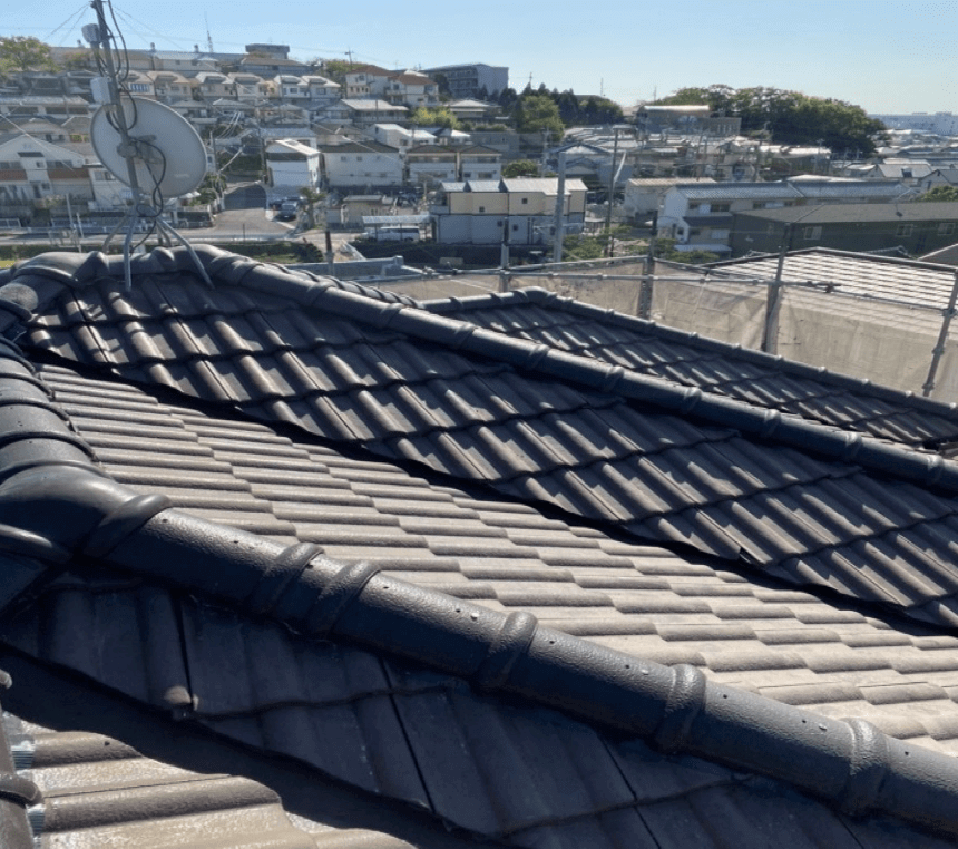 スピード業界No.1